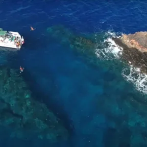 Snorkelers exploring coral reefs with sea scooters
