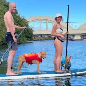 Person paddle boarding with a dog on calm ocean waters