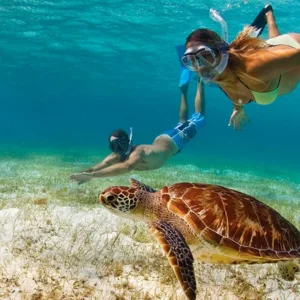 Private Oahu tour with snorkeling and turtle encounters