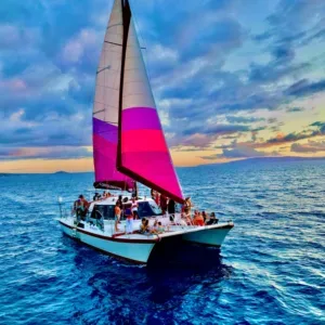 Private Winona sail catamaran cruising near Maui