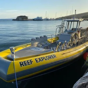 Private boat charter for ash scattering ceremony at sea