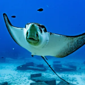 Divers gearing up at Salt & Siren Dive Club facility