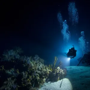 Scuba divers exploring vibrant coral reefs at night