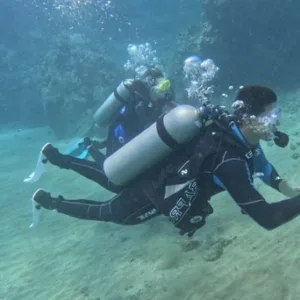 Beginner learning scuba skills during discover scuba session