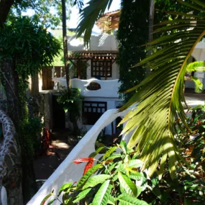 Underwater coral reef with colorful fish in Philippines