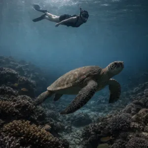 Group snorkeling adventure exploring Big Island waters
