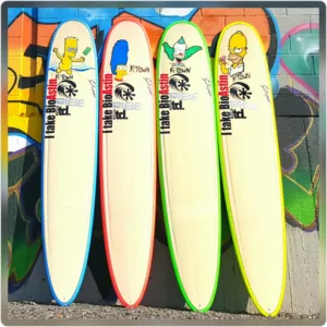 Various surfboards lined up for rental at beach
