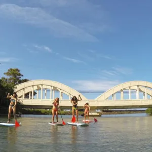 Group paddle boarding lesson with multiple participants on water