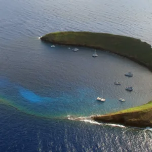 Scuba diver exploring Molokini Backwall coral reef