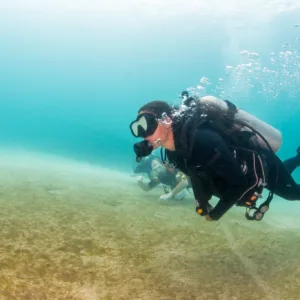 Group enjoying scuba diving in tropical waters