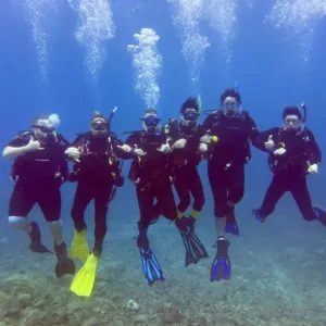 1 Tank Boat Dive - Hilo Horizons