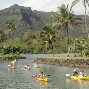 Kayakers paddling along Wailua River surrounded by forest