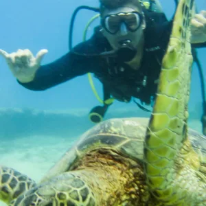 Advanced divers preparing for two tank boat dive