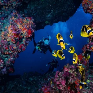 Two-tank boat dive at Lanai Cathedrals