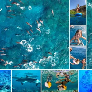 Snorkeling and dolphin encounter departing from Honokohau Harbor