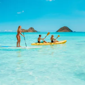 Kayaks lined up on a sandy Kailua Beach shore