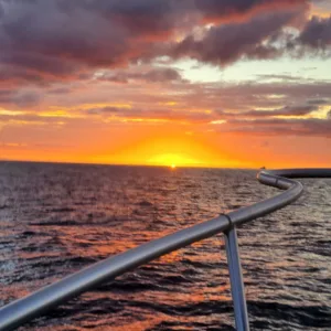 Boat cruising near Waikiki skyline at sunset