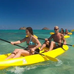 Kayakers paddling near sea turtles