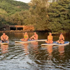 Stand-up paddle boards lined up on the beach for rental
