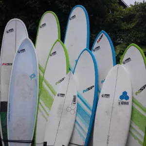Various epoxy surfboards lined up on beach