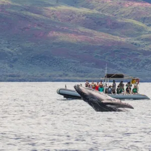 Raft boat on ocean with whale in distance