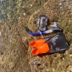 Child wearing a colorful snorkel set in water