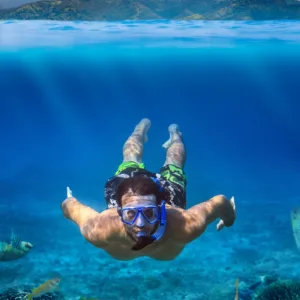 Snorkelers swimming near green sea turtles in Oahu