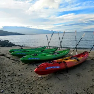 Kayakers paddling along Wailea’s scenic coastline