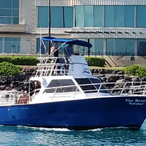 Snorkel and Sighting Cruise