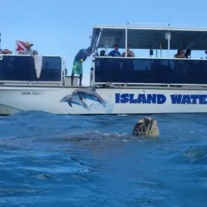 Power catamaran cruising over coral reef waters