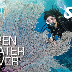 Scuba diver training with instructor in open water