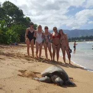 Private tour vehicle ready for adventure