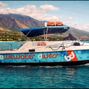 Two-tank morning dive at Lanai Cathedrals