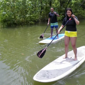 Person paddleboarding on calm river surrounded by forest