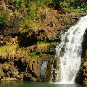 Tour bus parked near scenic island stop